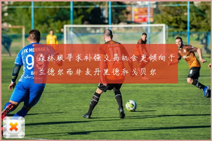 森林狼寻求补强交易机会更倾向于兰德尔而非麦丹里德和戈贝尔